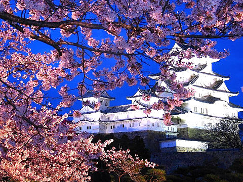 満開の夜桜とお城 おしゃれの画像(プリ画像)