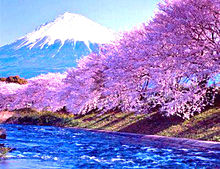 富士山 桜 風景の画像27点 完全無料画像検索のプリ画像 Bygmo