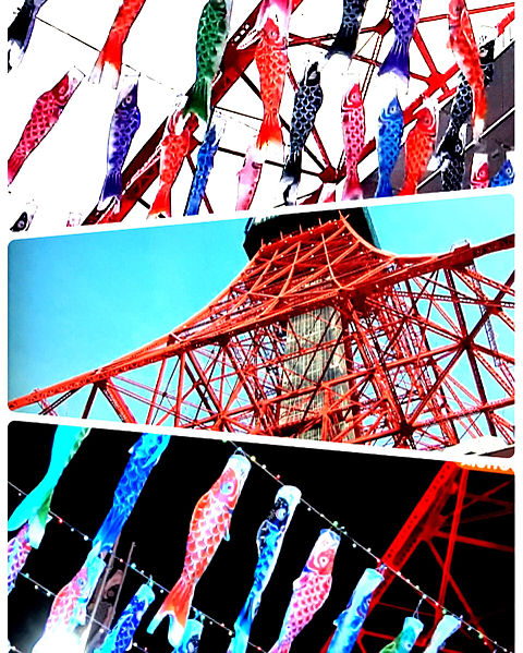 東京タワーの鯉のぼりの画像(プリ画像)
