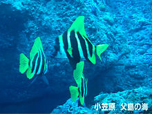 ハート 島 海の画像80点 完全無料画像検索のプリ画像 Bygmo