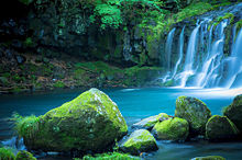 長野県 蓼科 苔の森 親湯温泉  ハートいいねを押してね！の画像(長野県 温泉に関連した画像)