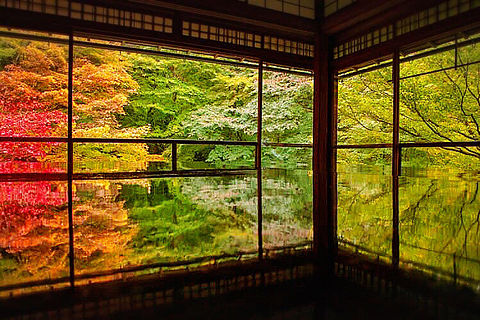 京都 瑠璃光院の紅葉  ハートのいいねを押してね！の画像(プリ画像)