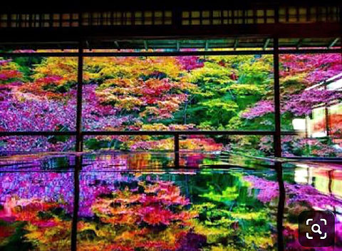 京都 瑠璃光院の紅葉  画像右下のハートを押してね！の画像(プリ画像)