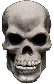 ドクロ 骸骨の画像6点 完全無料画像検索のプリ画像 Bygmo