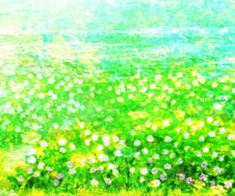 花畑 緑の画像点 完全無料画像検索のプリ画像 Bygmo