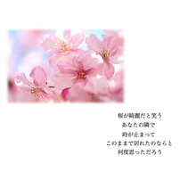 保存はポチの画像(さくら/桜/春に関連した画像)