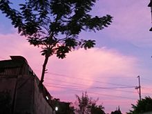 ピンク色な空の画像(ピンク色に関連した画像)