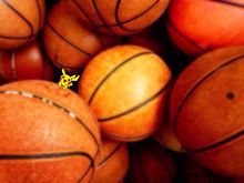 バスケットボール ピカチュウの画像3点 完全無料画像検索のプリ画像 Bygmo