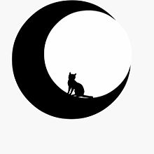 月 と猫の画像16点 完全無料画像検索のプリ画像 Bygmo