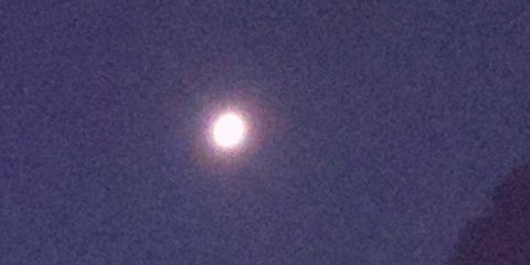 月光月の画像(プリ画像)
