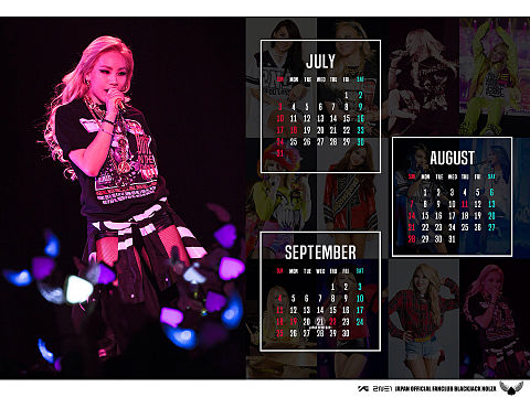 2NE1 2016.7.8.9月カレンダーの画像(プリ画像)
