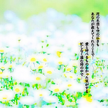 花の画像(JUJUに関連した画像)