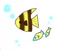 お魚の画像(イラスト 魚に関連した画像)