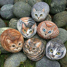 猫絵石の画像(猫絵に関連した画像)