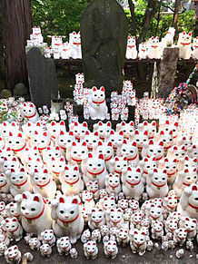 世田谷区豪徳寺の招き猫の画像(世田谷に関連した画像)