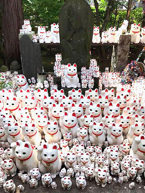 世田谷区豪徳寺の招き猫の画像 プリ画像
