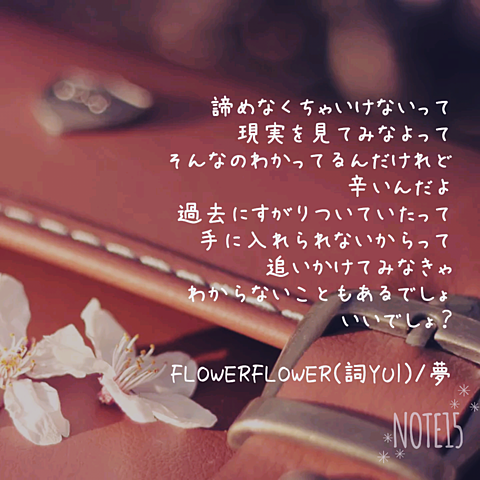 FLOWERFLOWER-夢の画像 プリ画像