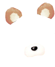 くま耳の画像(くま 耳に関連した画像)