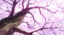 桜 幻想的の画像217点 完全無料画像検索のプリ画像 Bygmo