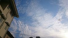雲の画像(地震雲に関連した画像)