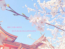3月9日の画像(#桜/空に関連した画像)