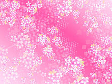 桜の画像(︎💕︎フレーム💕に関連した画像)
