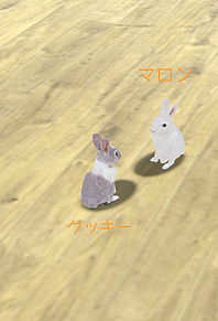 ウサギの画像(︎💕︎兎💕に関連した画像)
