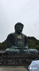 鎌倉大仏の画像(大仏に関連した画像)