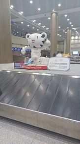 仁川空港にて、平昌オリンピックのキャラクターの画像(平昌オリンピック キャラクターに関連した画像)