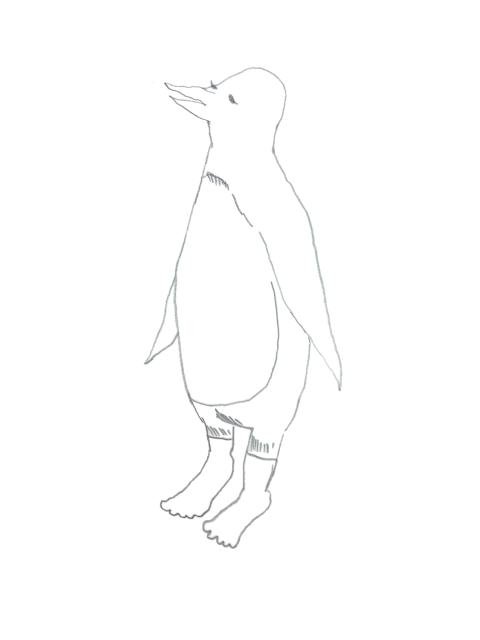 トキヤ ペンギン 完全無料画像検索のプリ画像 Bygmo