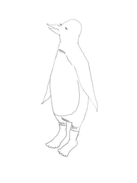 トキヤ ペンギン 完全無料画像検索のプリ画像 Bygmo
