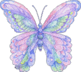 ♡̷♡̷ 素材の画像(バタフライ/butterflyに関連した画像)
