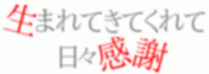 関ジャニ∞　ﾃﾞｺﾒの画像 プリ画像