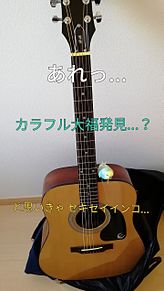 セキセイストラップ付きギターの画像(#ギターに関連した画像)