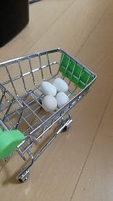 お買い上げインコの卵4点の画像(買い上げに関連した画像)