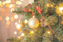 クリスマス 冬 景色の画像53点 完全無料画像検索のプリ画像 Bygmo