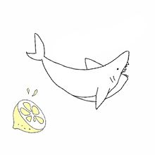 サメ かわいい イラストの画像10点 完全無料画像検索のプリ画像 Bygmo