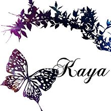 kaya様リクの画像(ﾊﾞﾀﾌﾗｲ 蝶に関連した画像)