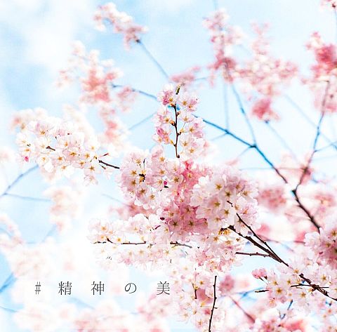 トプ画 春 桜の画像200点 完全無料画像検索のプリ画像 Bygmo