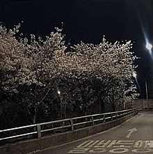 韓国風 ハイライト推奨の画像(ライトに関連した画像)