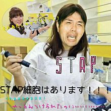 STAP細胞！！の画像(stap細胞に関連した画像)