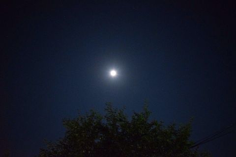 十五夜の満月の画像(プリ画像)