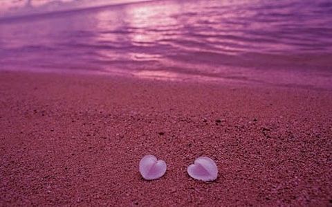 ピンクビーチとハートの画像 プリ画像