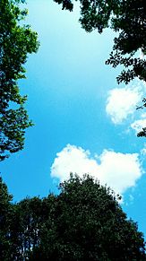 ハートの雲の画像(みゃーこに関連した画像)