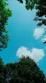 ハートの雲の画像(ハートの雲に関連した画像)
