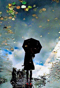梅雨の画像(梅雨に関連した画像)