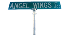 ㅤ angel wingsの画像(angelに関連した画像)