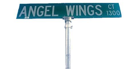 ㅤ angel wingsの画像(プリ画像)