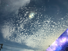 うろこ雲の画像(うろこ雲に関連した画像)