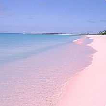 ピンクサンドビーチの画像(ﾄﾞﾋﾞｰに関連した画像)